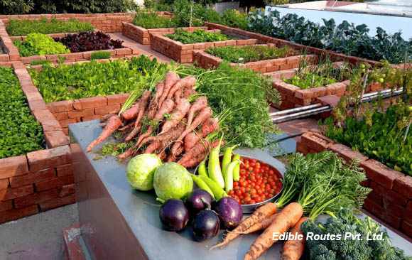 Nature based Solutions for healthy, resilient cities
