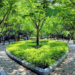 TheCityFix Labs India – Accelerating Nature-based Solutions in Indian Cities
