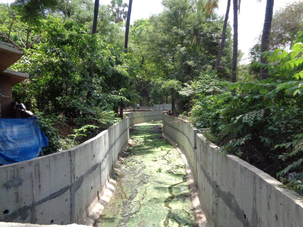 Walking Along the Mithi River: Five Opportunities To Improve Flood Resilience