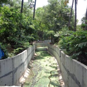 Walking Along the Mithi River: Five Opportunities To Improve Flood Resilience